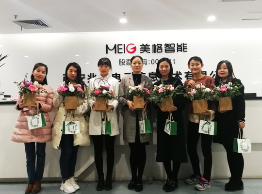 6t����(6TSPORTS)�����Źɷݹ�˾