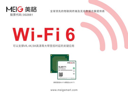 6t����(6TSPORTS)�����Źɷݹ�˾